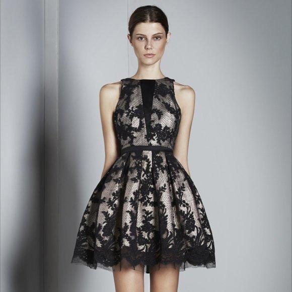 Alex Perry Dresses & Skirts - ALEX PERRY - SASHA TEACUP LACE DRESS - COCKTAIL / BEAUTIFUL! Size 6